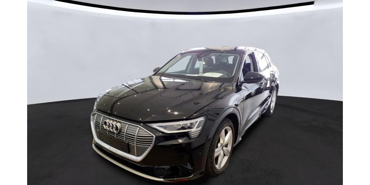 Audi e-tron 73.893 km 29.544 &euro; Hagen 58091